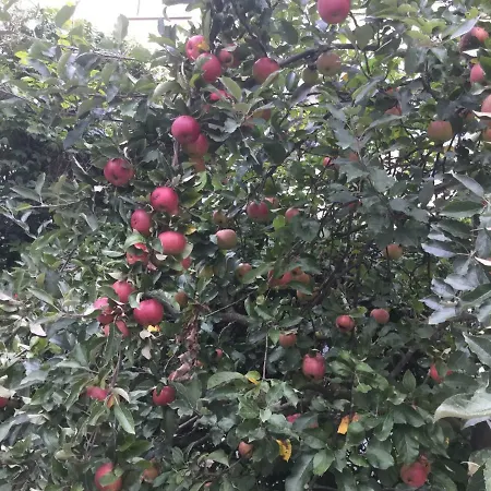 Finkeshaus Accommodatie bij particulieren *